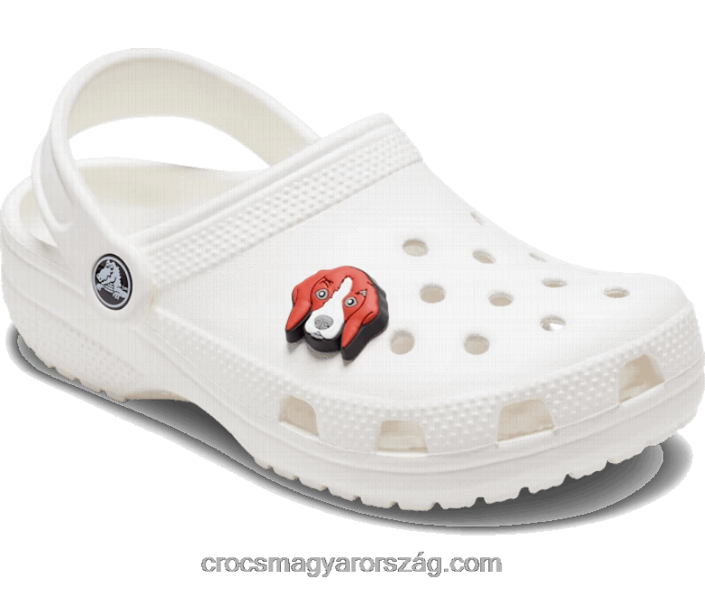 beagle kutya Crocs00XTV662