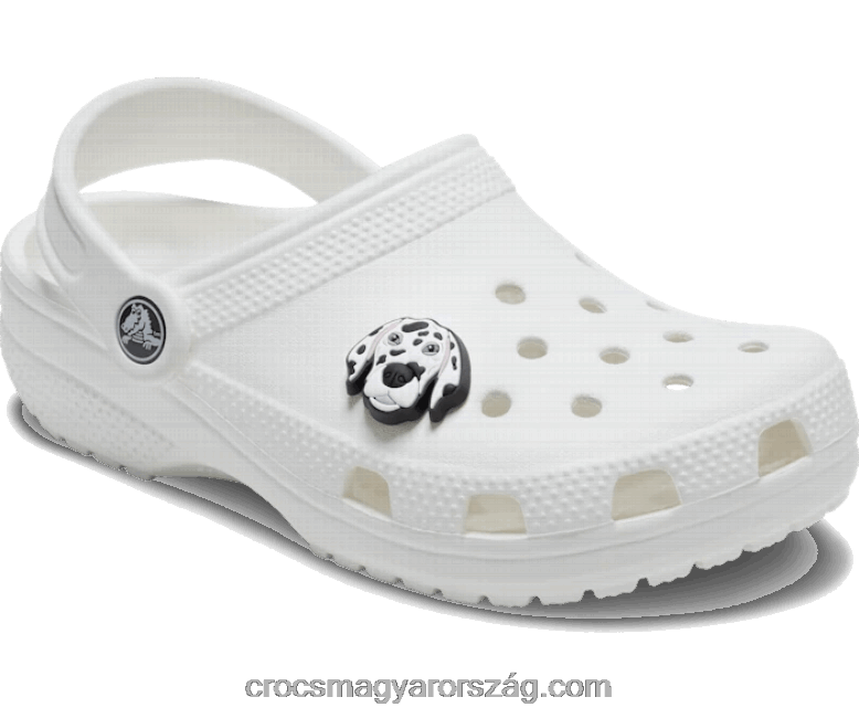 dalmáciai Crocs00XTV659