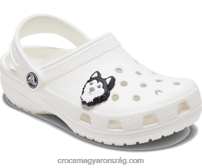 husky kutya Crocs00XTV762