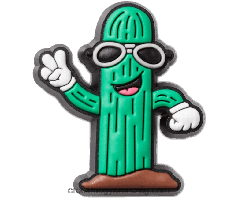 kaktusz haver Crocs00XTV756