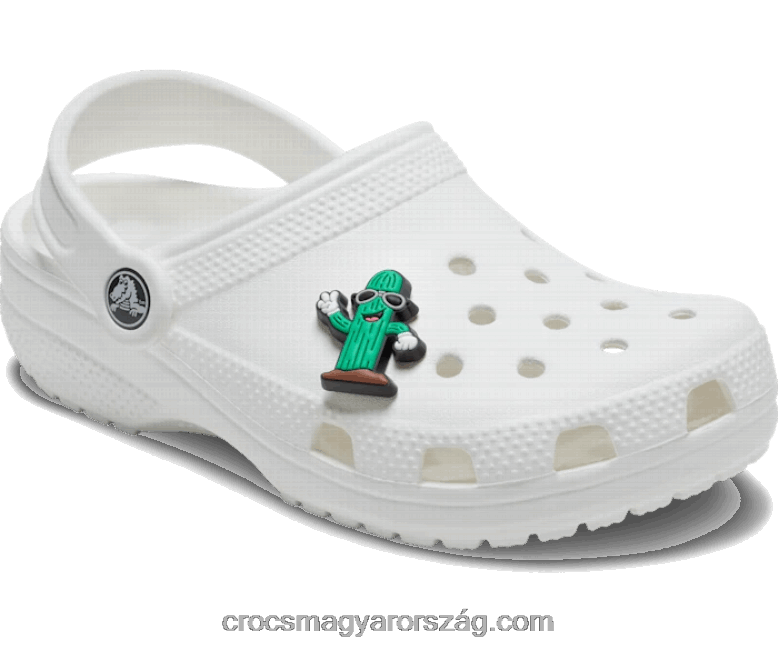 kaktusz haver Crocs00XTV756