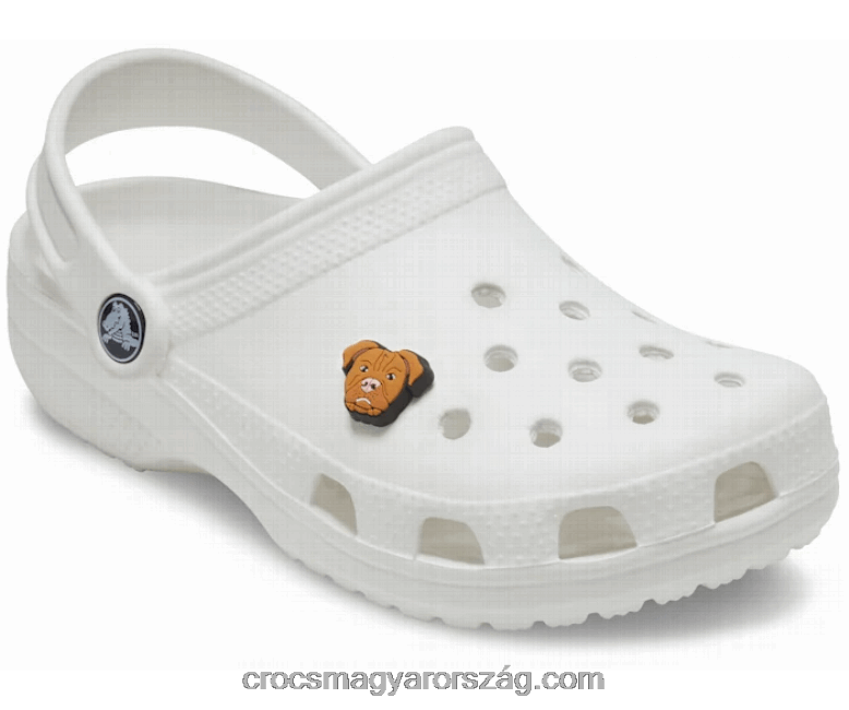 pitbull Crocs00XTV1173