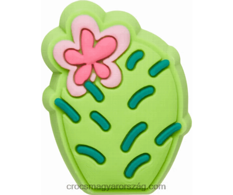 virág kaktusz Crocs00XTV1157
