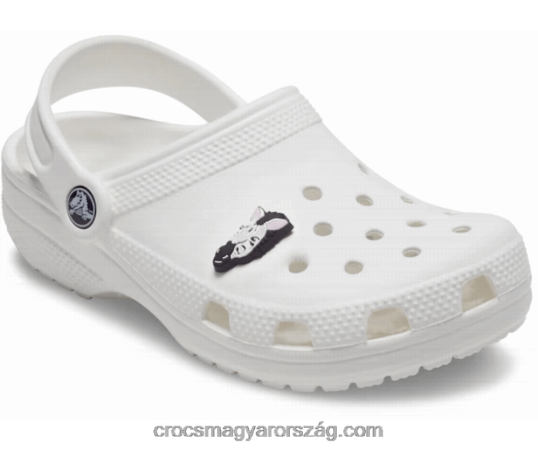 zebra Crocs00XTV1186